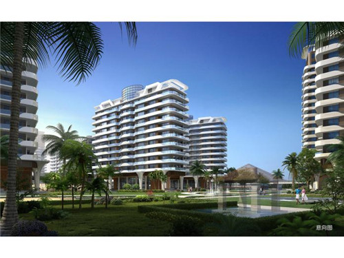 misscake蛋糕小姐