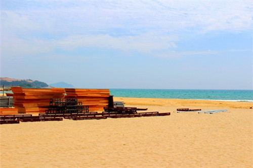 张成荣电烤鸡架