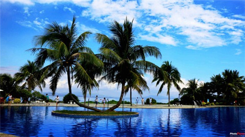 花阪亭冰淇淋菠萝包