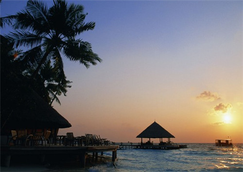 国礼品牌哪个值得买