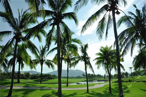 加盟鱼火肴如何更好地经营，县城可以加盟鱼火肴吗