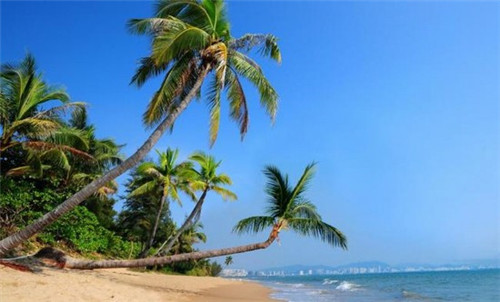 美发店创业流程图怎么做