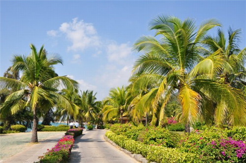 火锅店名字策划书