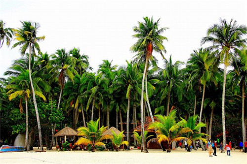 桐乡利华煲店电话，桐乡利华煲店加盟费是多少