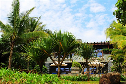 临洮县人参加盟什么店赚钱