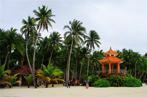 封口机加盟哪家好