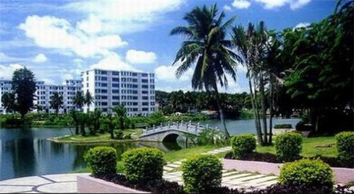 福建金砖是什么意思（福建金砖香烟au999.9）